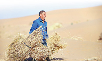 绿意延展 黄沙止步（小康路上绿色力量·关注荒