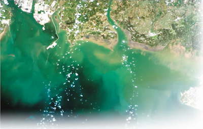 海洋卫星家族再添慧眼