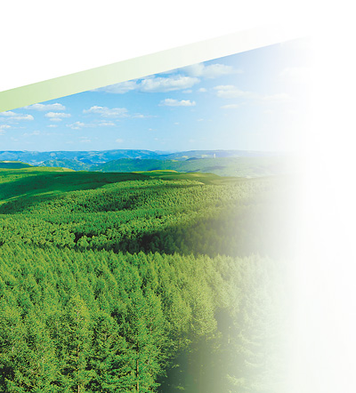 世界最大人工林是怎样炼成的？