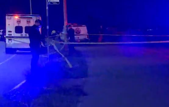 美国西雅图海岸发现数个袋子 内装人体遗骸