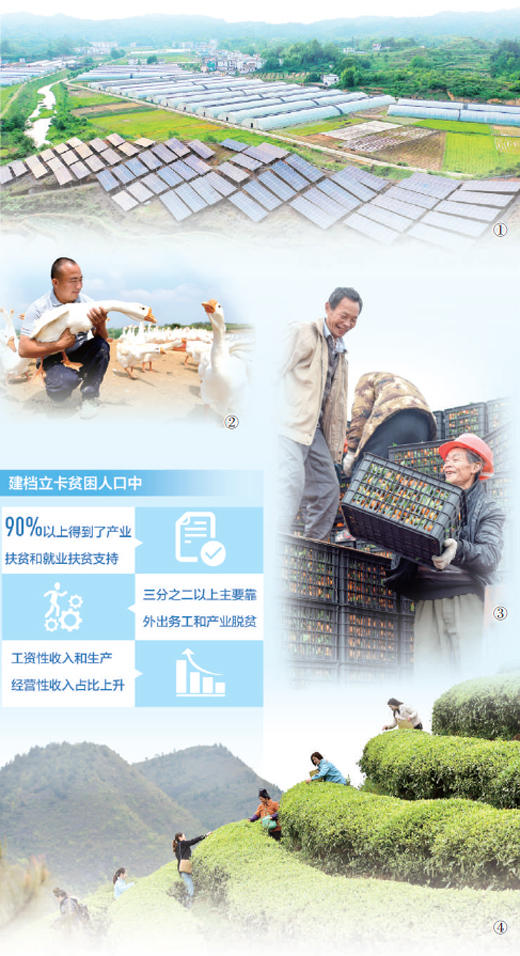 扶贫产业怎样实现可持续发展（来信综述·如何巩