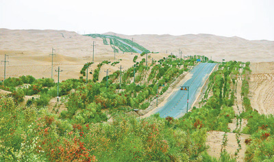 一路通南北 大漠生绿荫（小康路上绿色力量·关