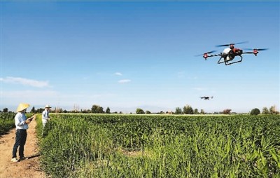 四部门联合行动 为三大主粮储备救灾农药