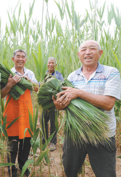 青塘粽子名气大 整村脱贫步子快