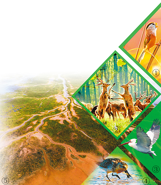 那个美丽的传说，还在继续……