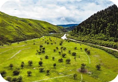 夏季游：向着绿色出发