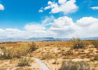日积跬步 积木成林