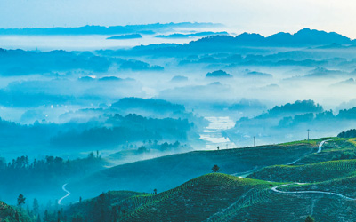 垃圾分类开启新时尚