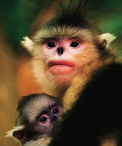 美不胜收的云南迪庆，世界的香格里拉