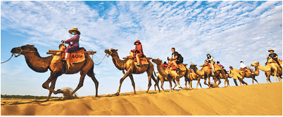 旅游市场加快复苏