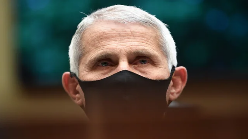 福奇成“抗疫英雄”后饱受威胁 感叹：这是真正