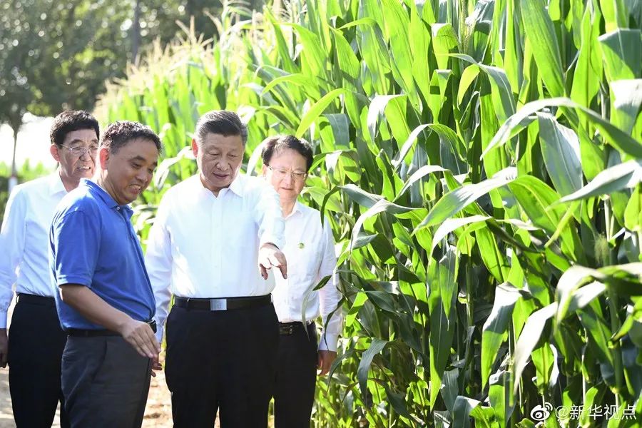 保护黑土地，还要向科技要产量