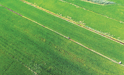 东北是一片大有可为的热土