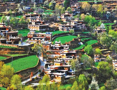 民宿建起来 生活富起来