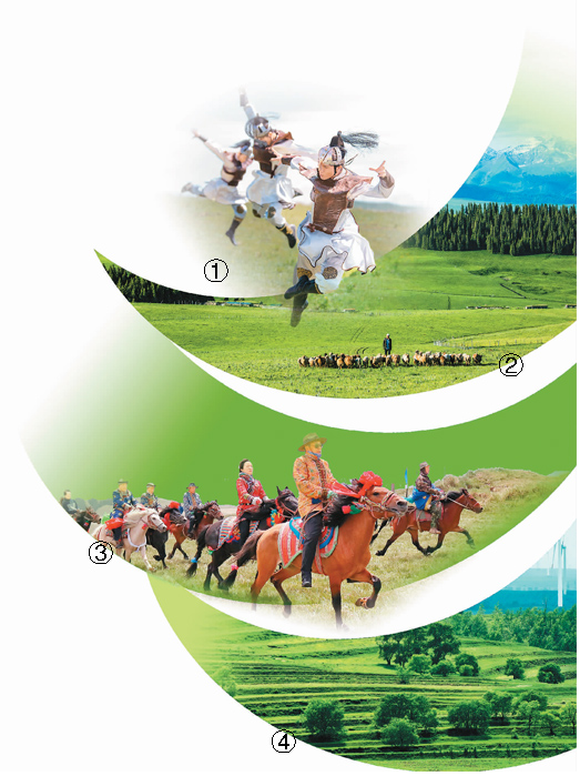 草场绿了 牛羊肥了 牧民富了