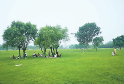 难忘岁月 共同成长