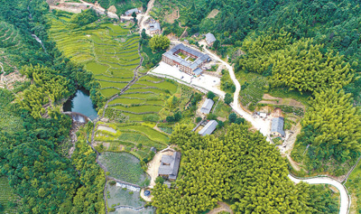 马元古村 蓬勃新生