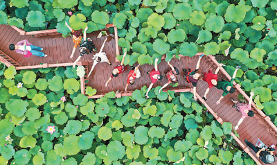 跟团游转型升级