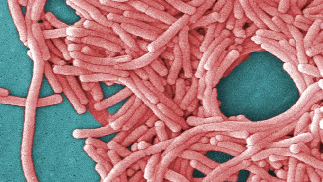 1596887631390453.png image.png