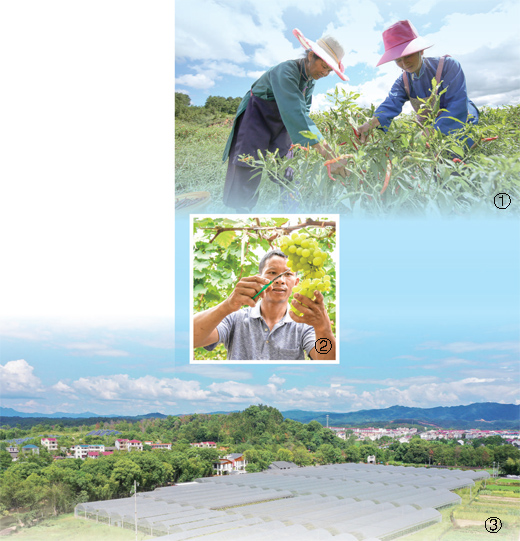 如何防止脱贫人口再返贫？