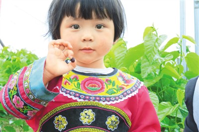 保山“小记者”争着晒家乡