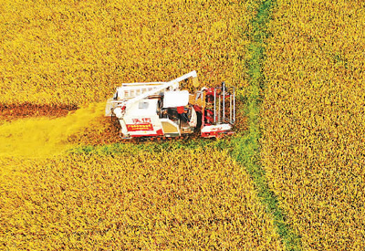 农业经济延续向好态势