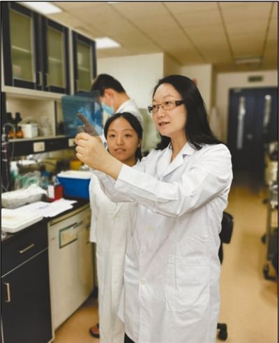 汤楠：在忙碌中收获多项原创性成果