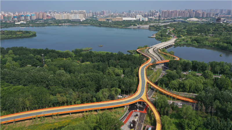 海外网评：加快“国内大循环”，关键在“补短