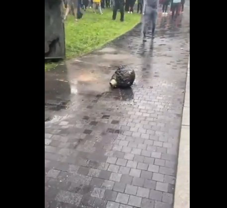 加拿大爆发抗议活动后，首位总理雕像遭