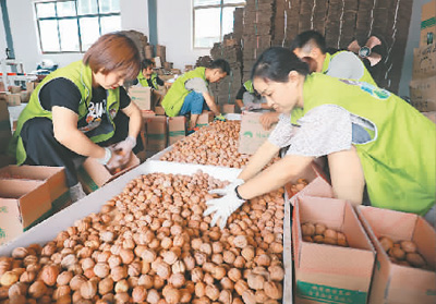 消费扶贫驶入“快车道”