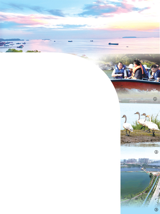 聚焦政治监督 守护一湖碧水