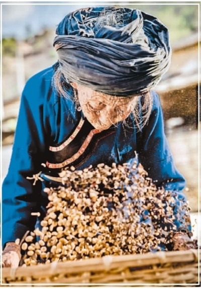 海归书写的扶贫篇章