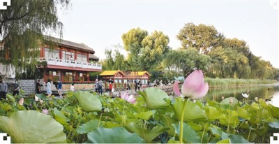 人文旅游大放光彩