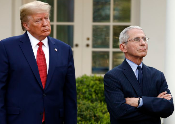 美国仅9000人死于新冠肺炎？福奇反驳特朗普转推