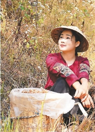 【我的侨乡·我的家④】夜访“滇西小哥”