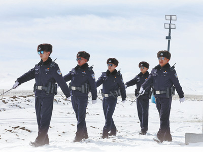 高山之巅的忠诚守护者