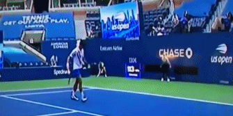 德约科维奇美网公开赛中意外击中裁判 被取消比