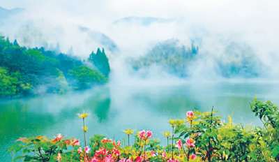 大别山里护林人