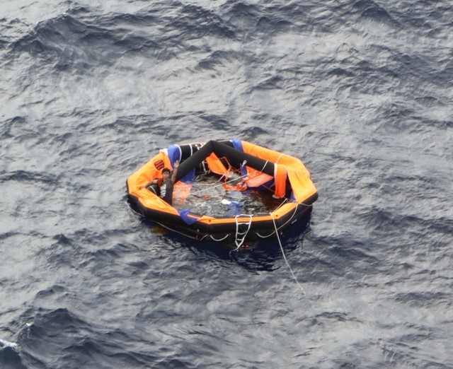 载5800头牛货轮在东海沉没 一船员抓紧牛后幸存