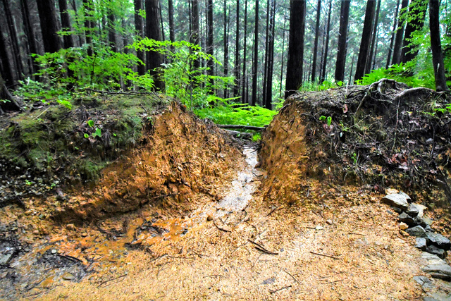 80多岁日本男子因在世界遗产内挖沟被送检 声称