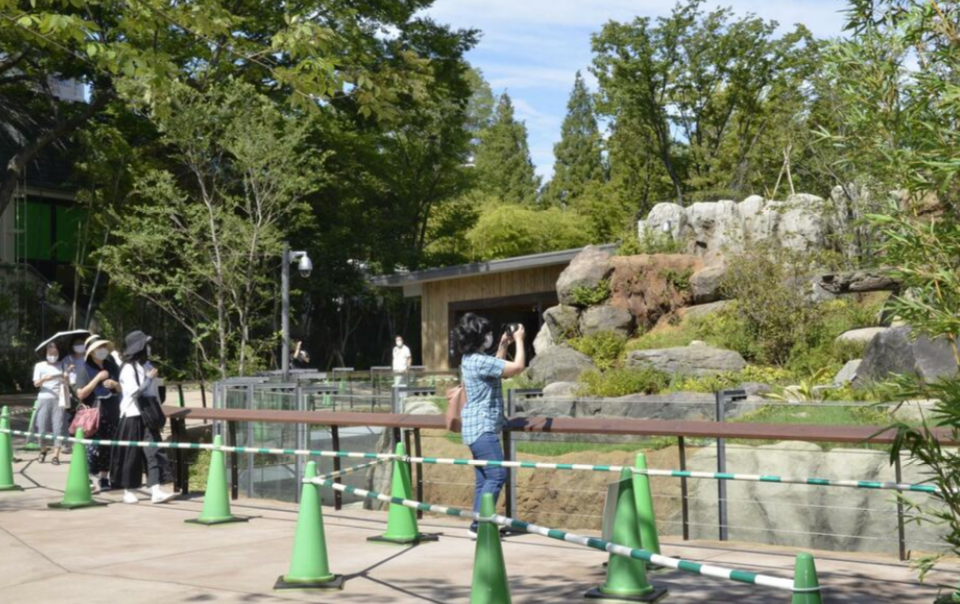 旅日大熊猫搬新家：重现四川自然风光 日媒称促