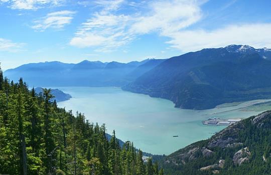 加拿大不列颠哥伦比亚省发生多起坠崖事件 致