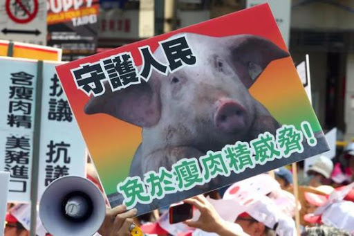 港台腔：美猪开放将入岛，台湾为何乱糟糟？