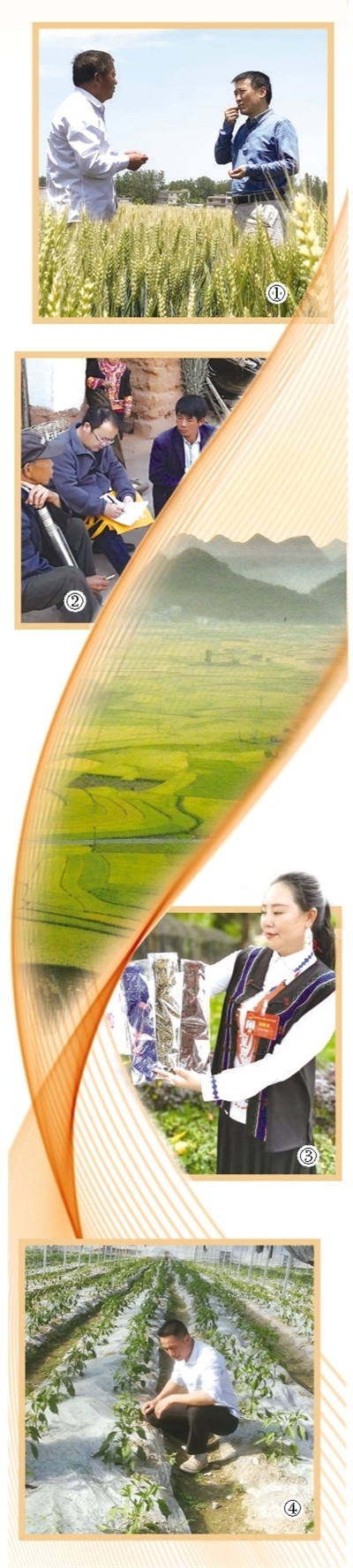 为打赢脱贫攻坚战贡献力量