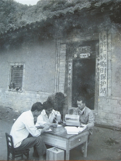 朱鹮 再度起飞在秦岭