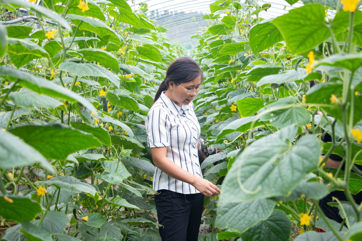 “科技+电商”双引擎提速脱贫攻坚和乡村振兴