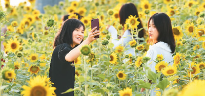 “网红城市”如何才能“长红”？