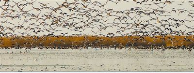 让黄河成为造福人民的幸福河