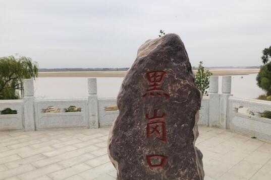 开封黄河黑岗口生态修复绿化景观工程项目区.(未来网记者 谢青摄)