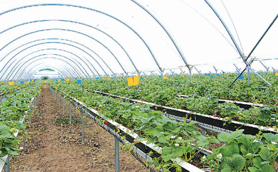 怒江深处探脱贫 大唐集团在云南4年投入10亿元